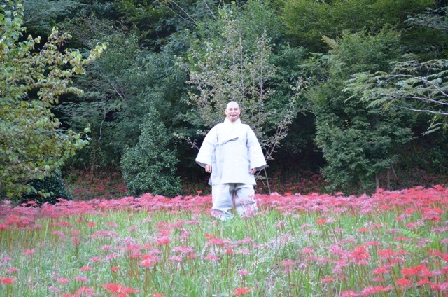 선해어 이미지