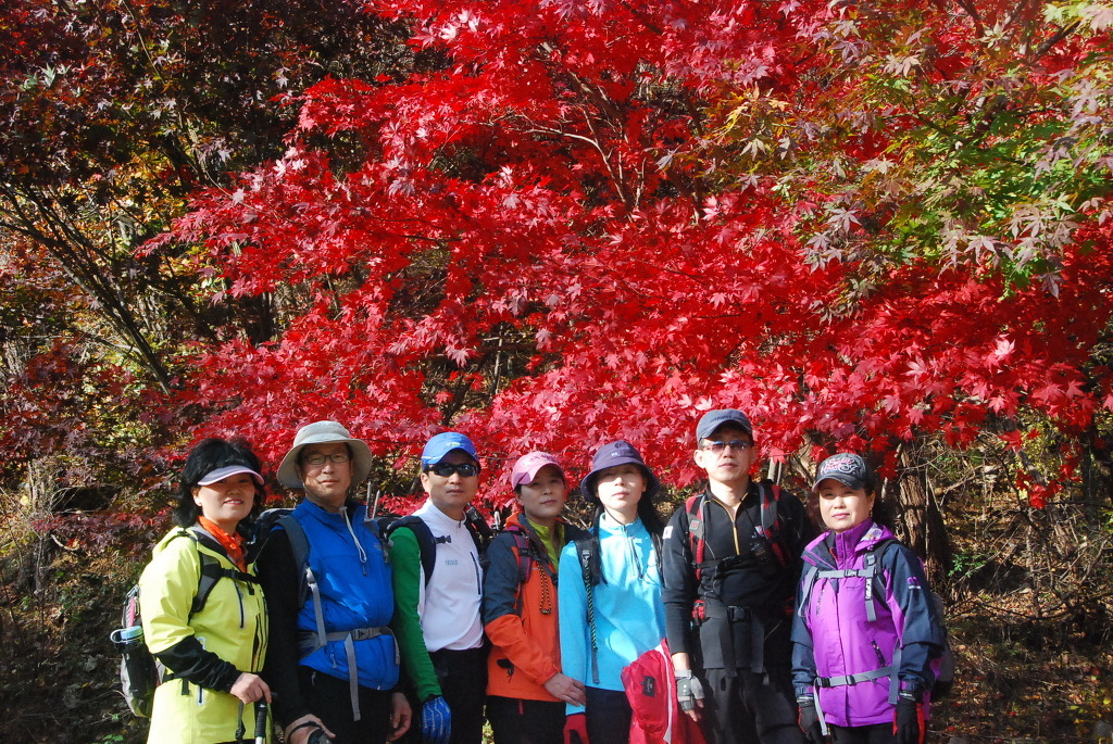 산울림 이미지