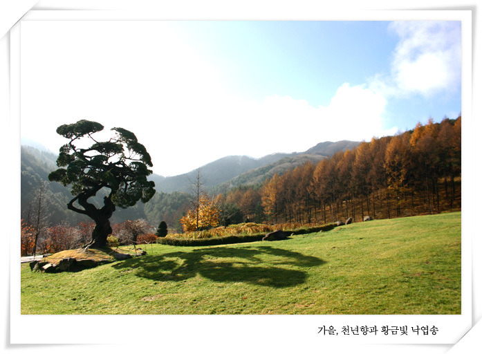 컴누리 이미지