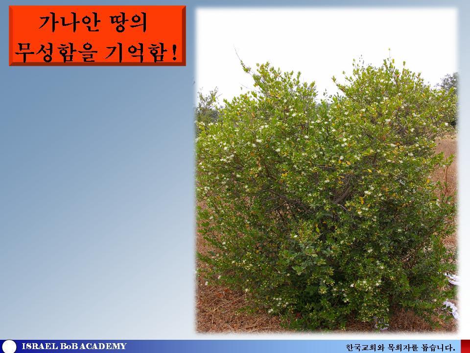 심볼리즘 이미지