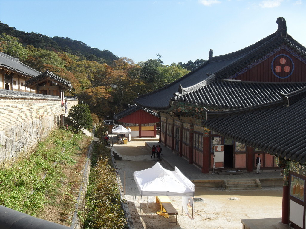 성철수도 이미지