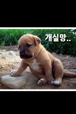 없음 이미지