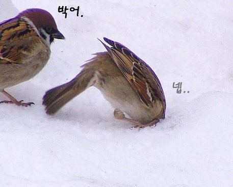 살다보면 이미지