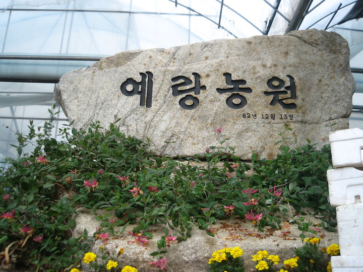 예랑농원 이미지