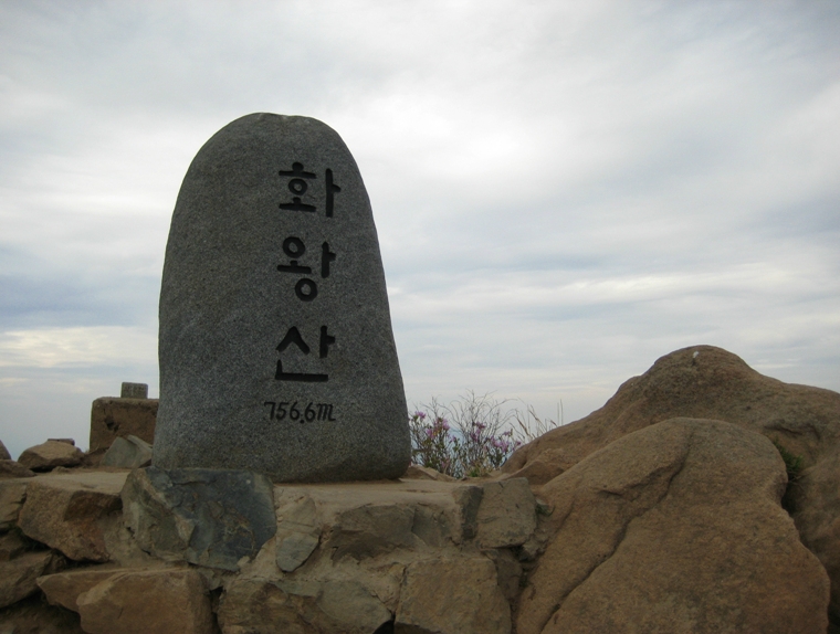 유)세양 이미지