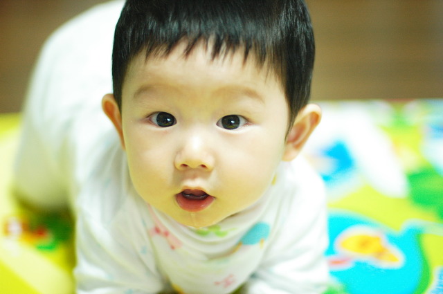 서율 이미지