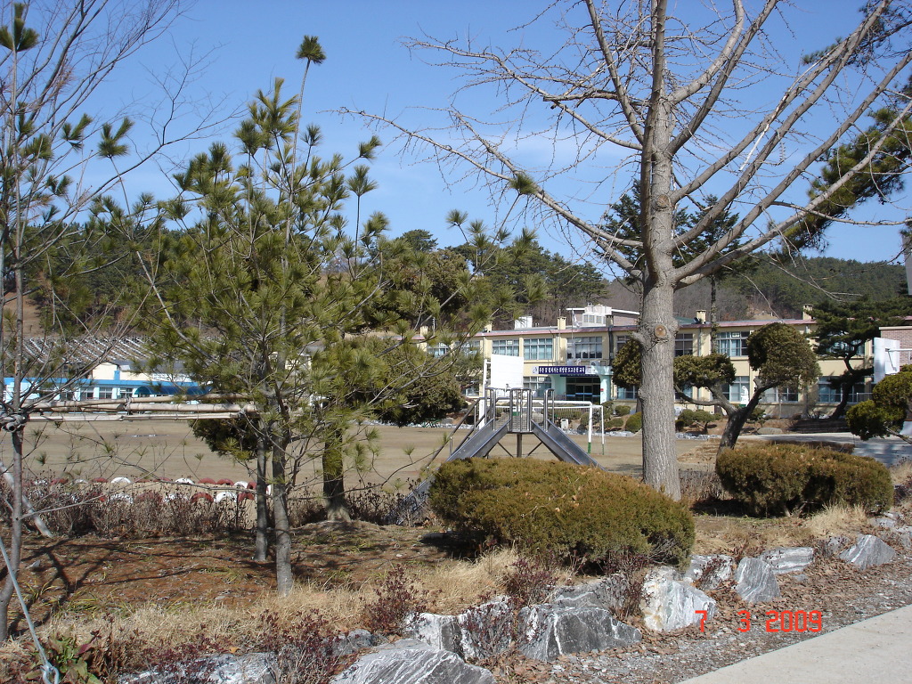 도고온천초등학교 이미지