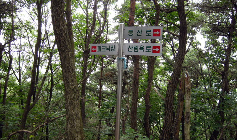 용인석유 이미지