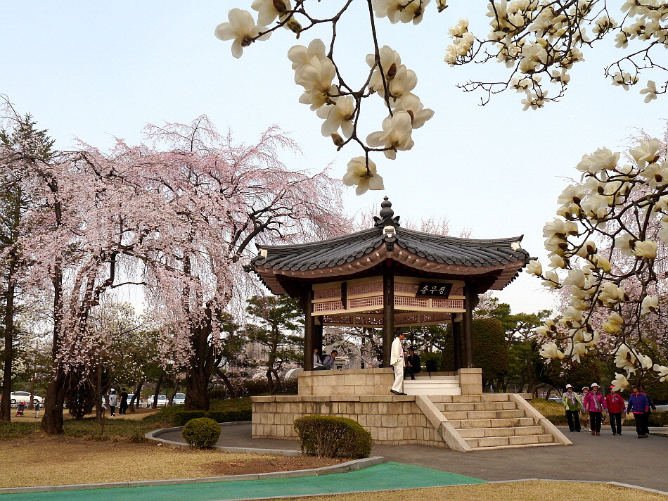 설울 이미지