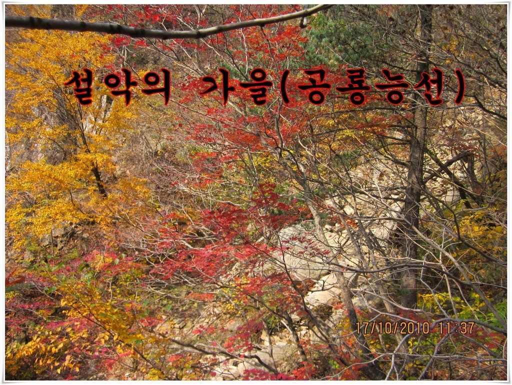 설악유리 이미지