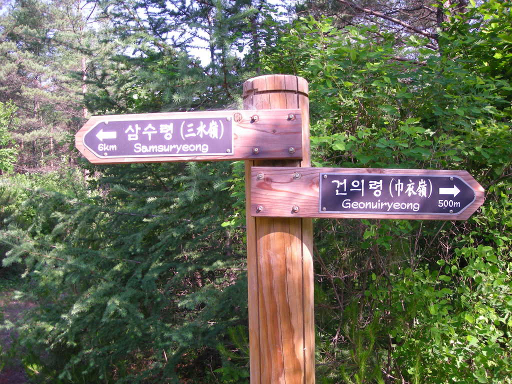 노루메기 이미지