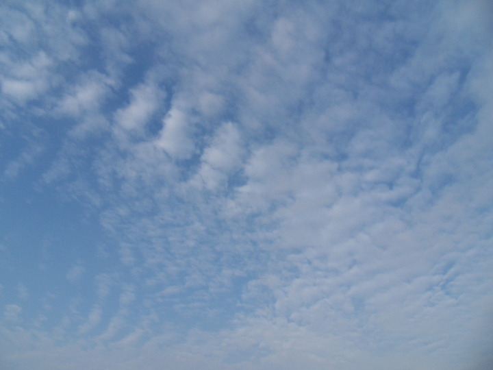 15036A224A9314EE24BC4E