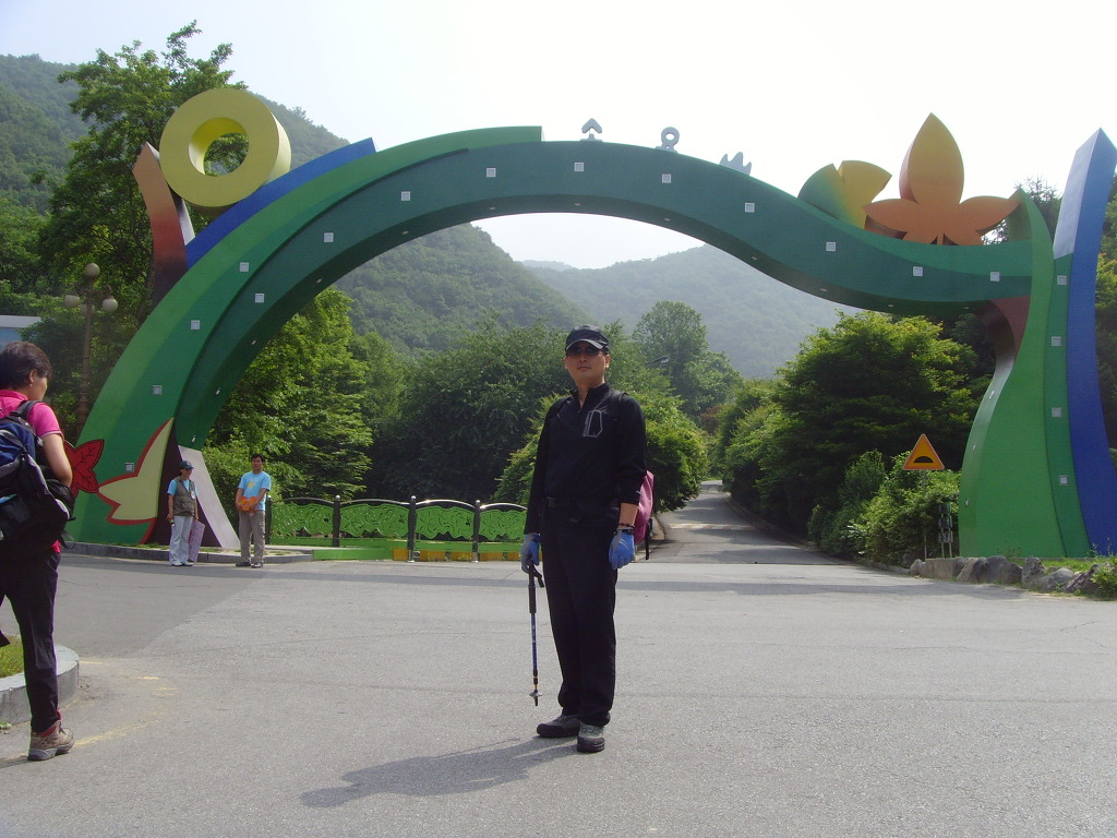 고은잠자리 이미지