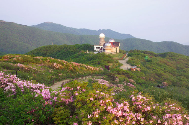 언덕위의집 이미지