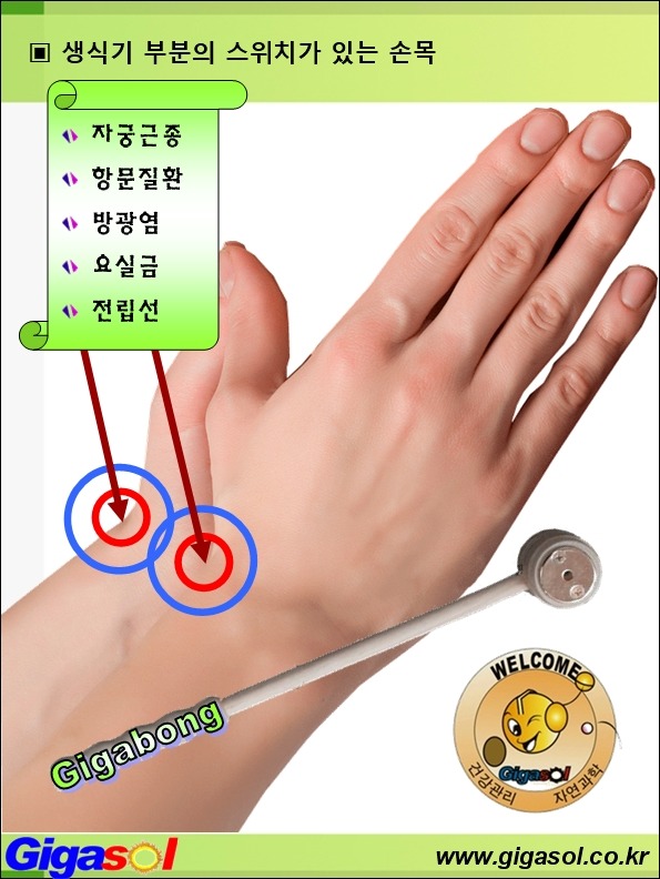 15334D4850A1E8531DB0BF