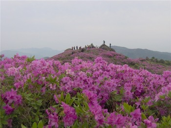 수남주유소 이미지