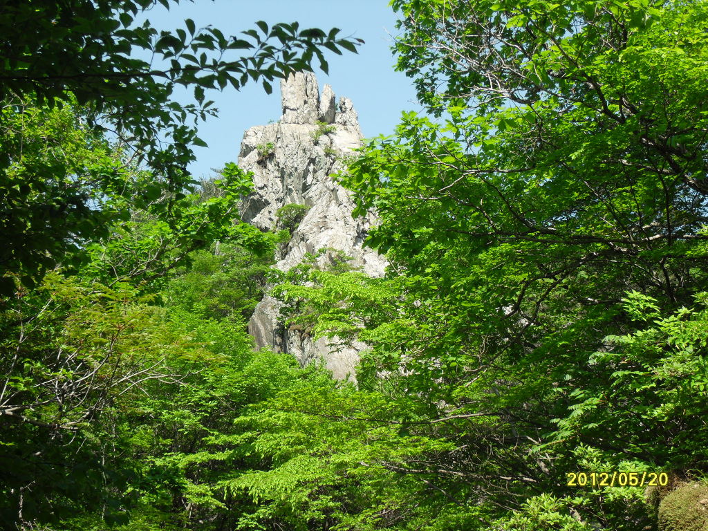 대동LPG충전소 이미지