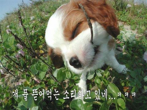 이십사-십일 이미지