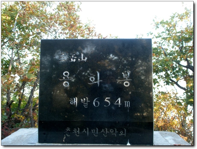 비선식당 이미지