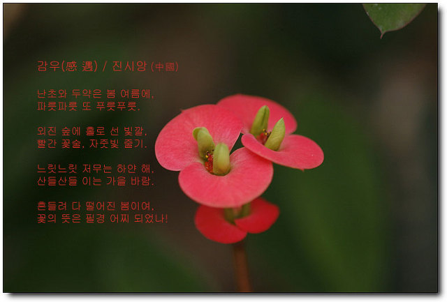 진시앙 이미지
