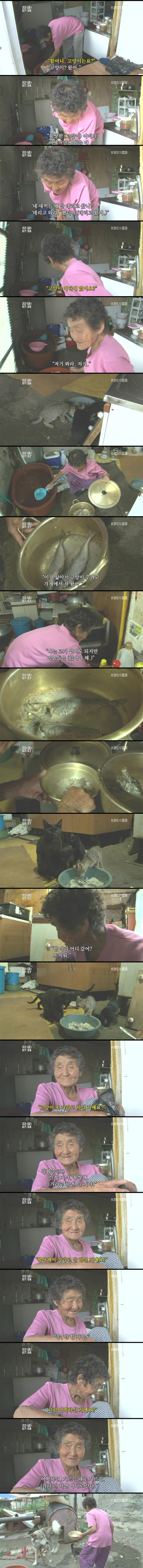고양이 구박하는 훈할머니.JPG | 인스티즈