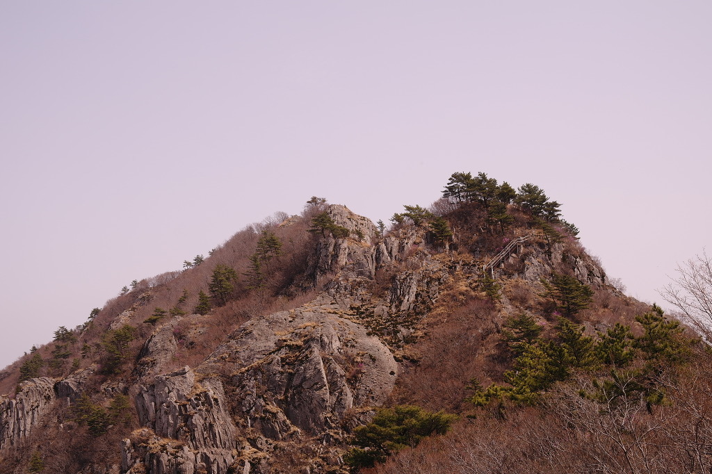 미오리 이미지