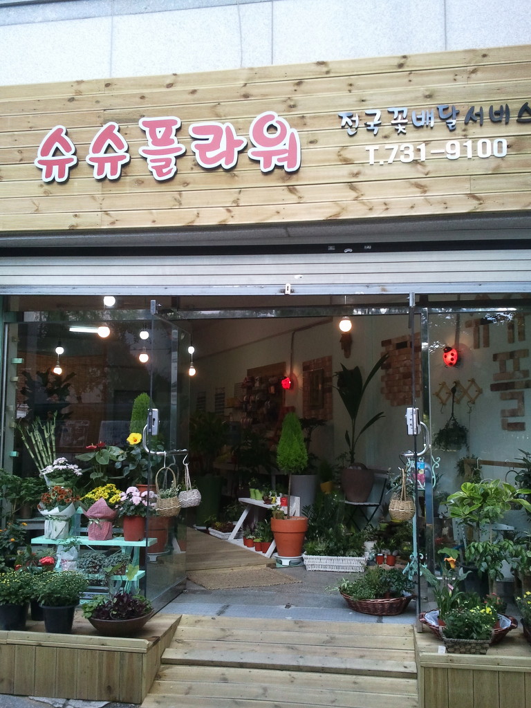 슈슈 이미지