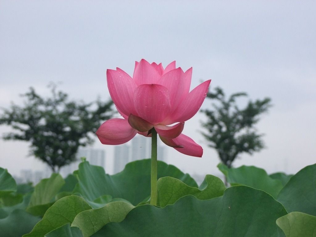 오르리 이미지