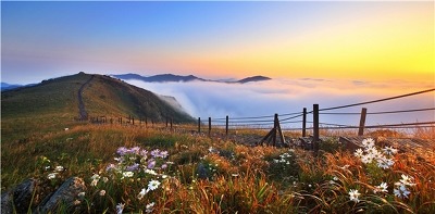 (주)칠십이 이미지