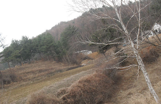 평창IC 이미지