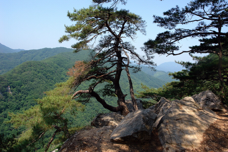 소리산 이미지