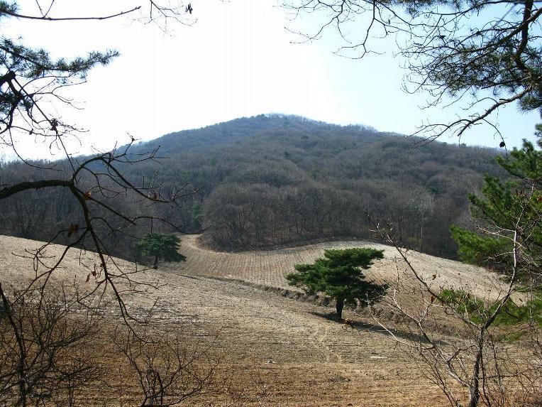 마국산 정상 이미지