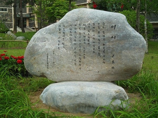 샤일 이미지