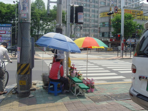 꽃파는사람들 이미지