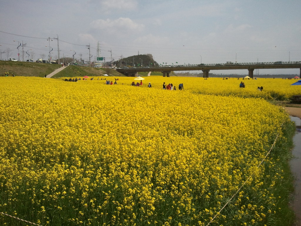 영산홍어(주) 이미지