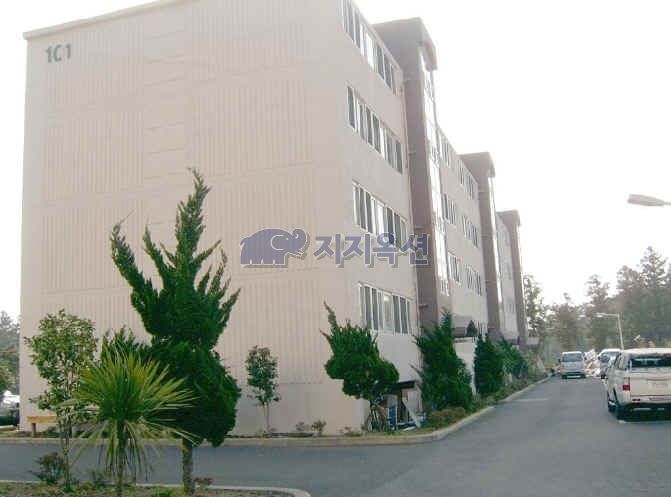 일출주유소 이미지