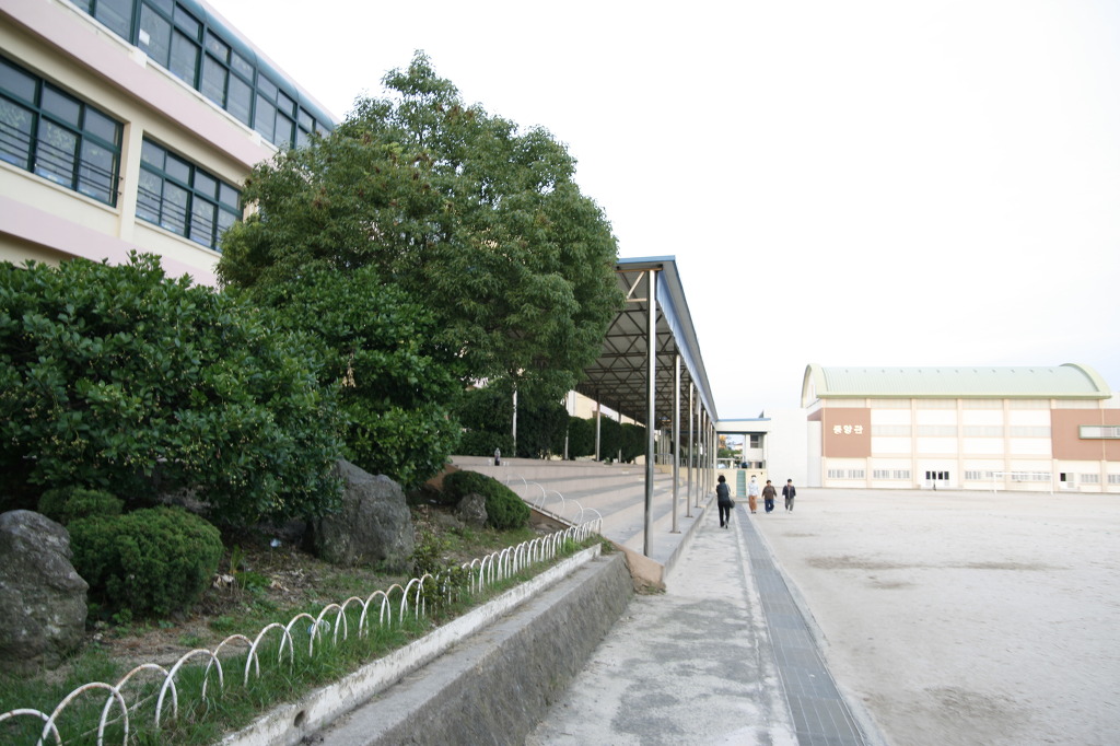 삼다도 이미지