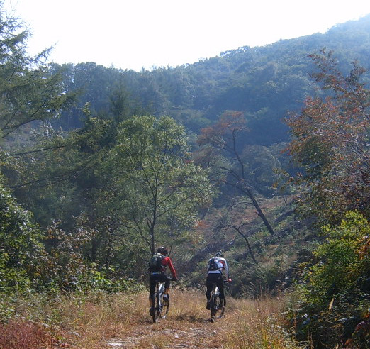 소풍 이미지