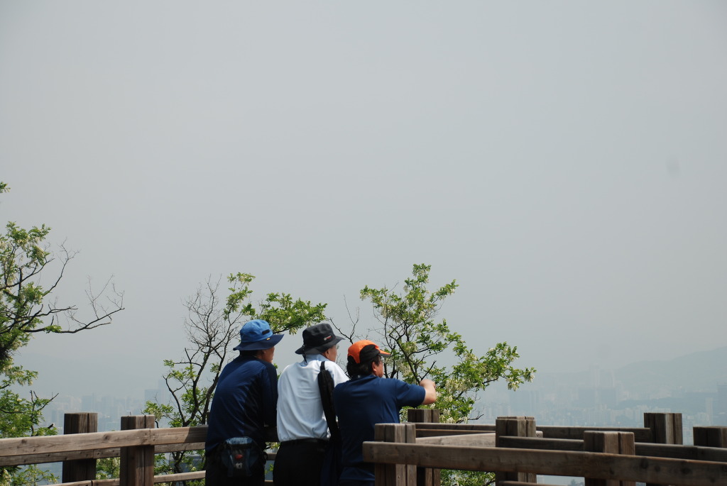 할매족발 이미지