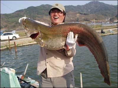 임페리얼모텔 이미지