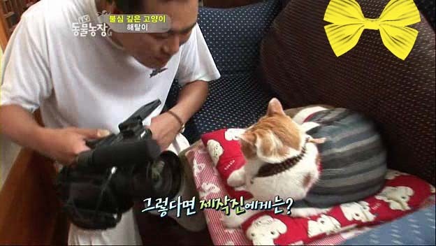 상귀농장 이미지