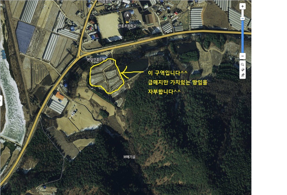 안흥초등학교 이미지