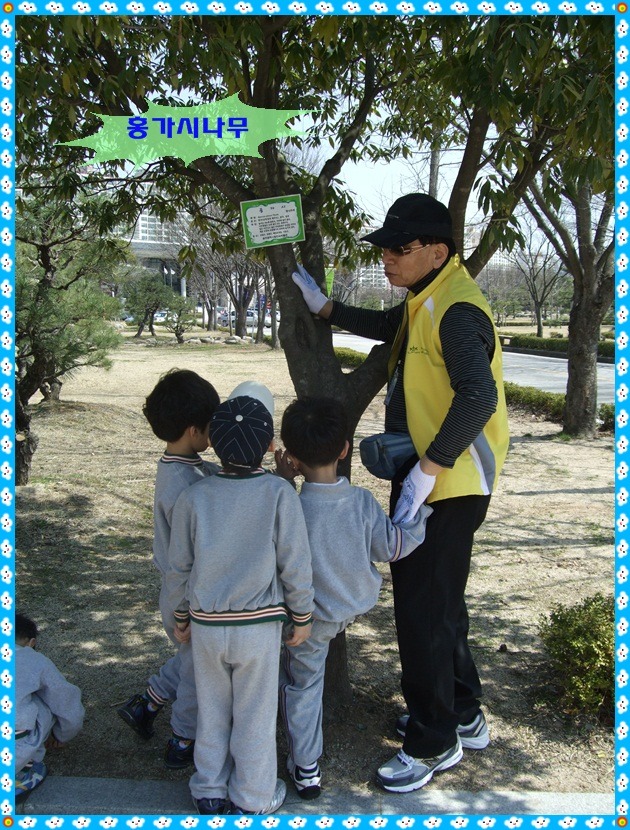 썬대교어린이집 이미지