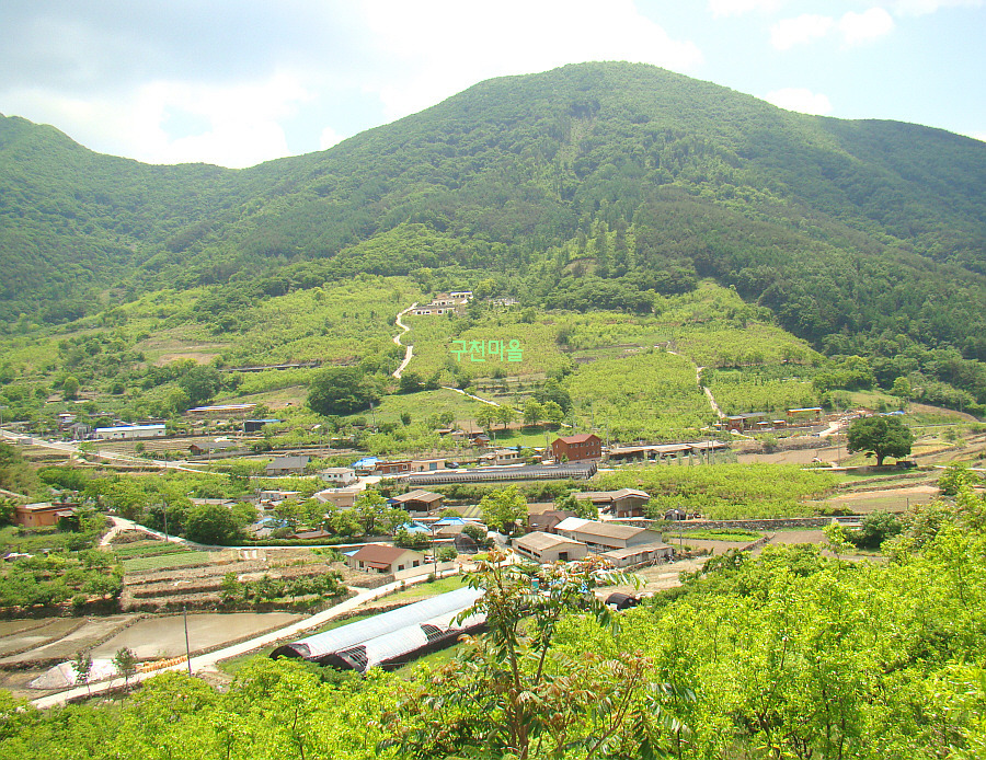 그라제 이미지