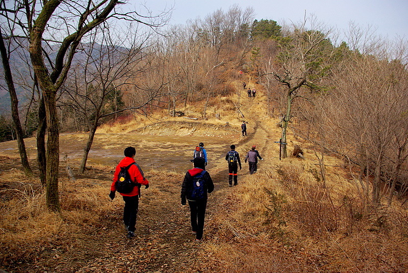떡시루 이미지