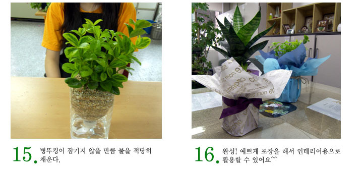 녹색인테리어 이미지