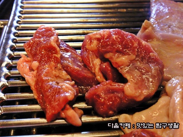 서래갈매기 이미지