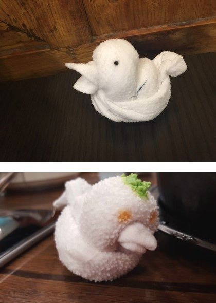 식당 물수건으로 오리 만들기.JPG | 인스티즈