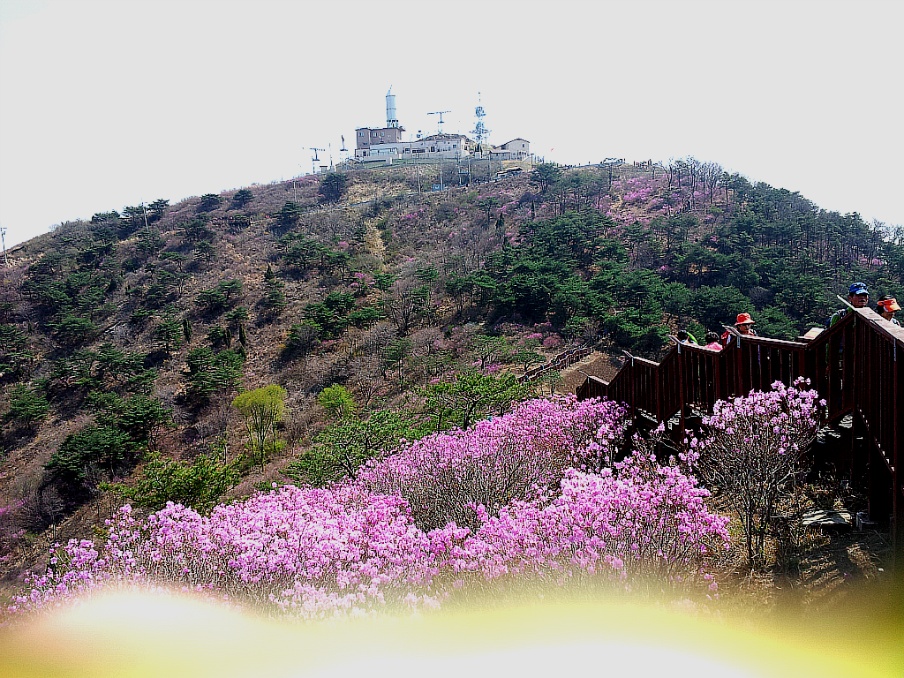 고려영상 이미지