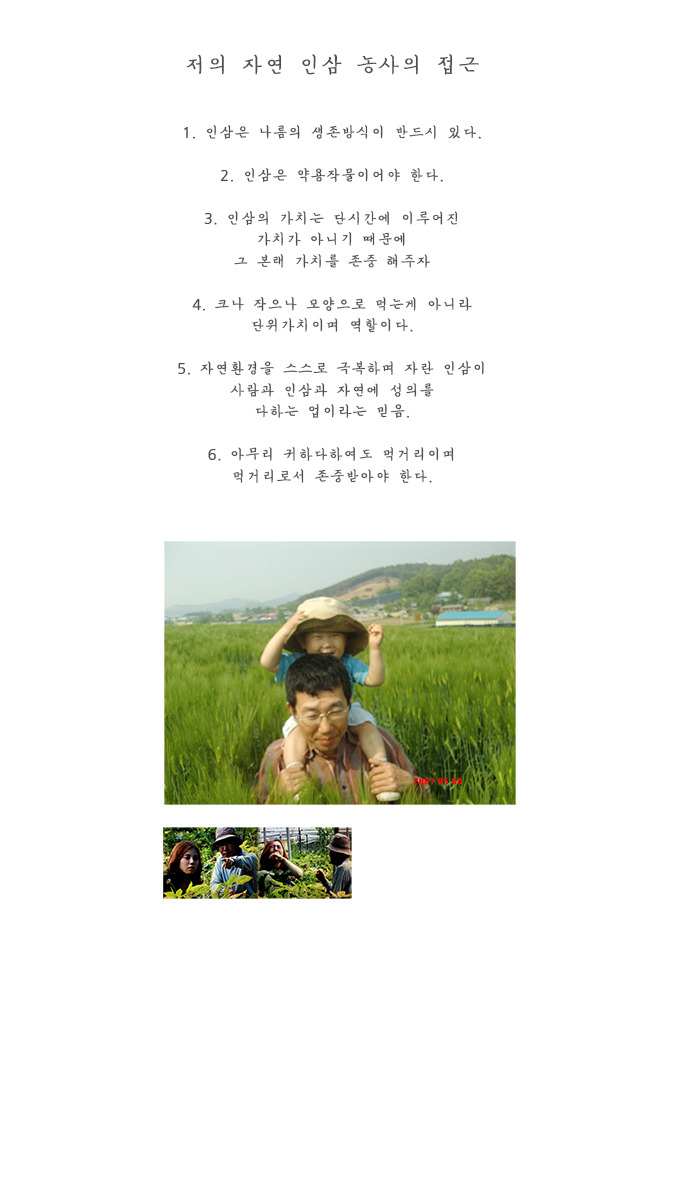 자연인삼 이미지